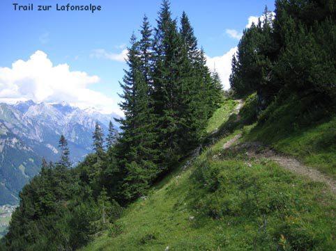 Trail zur Lafonsalpe